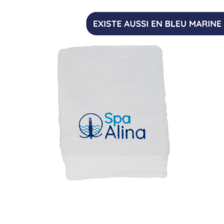 Gamme Détente - Boitier LED pour Spa & Spa de Nage - 2 sorties - Etiquette  Noire - Spa Alina